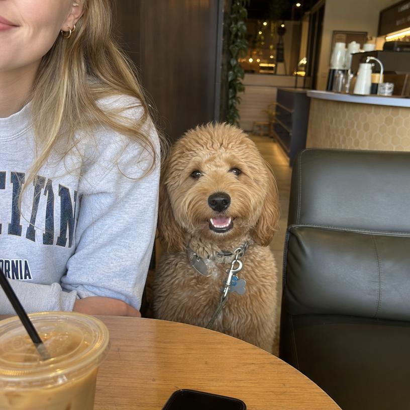 Happy Willow & Bark community dog 4